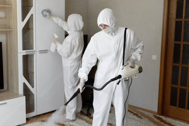 Best Industrial Mold Remediation in Olympia Fields, IL