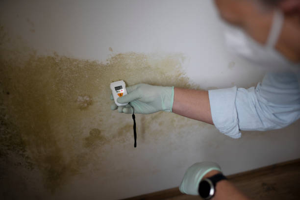 Best HVAC Mold Remediation in Olympia Fields, IL