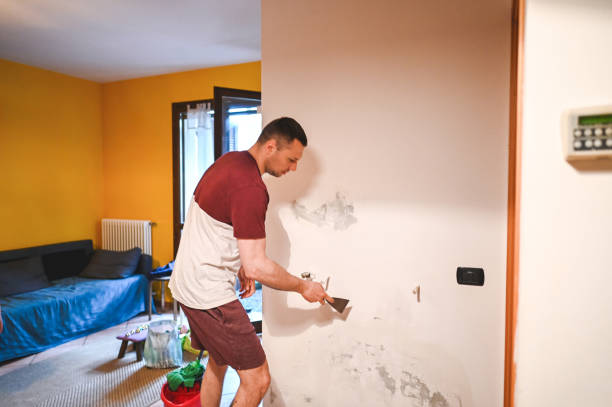 Best Post-Remediation Services in Olympia Fields, IL